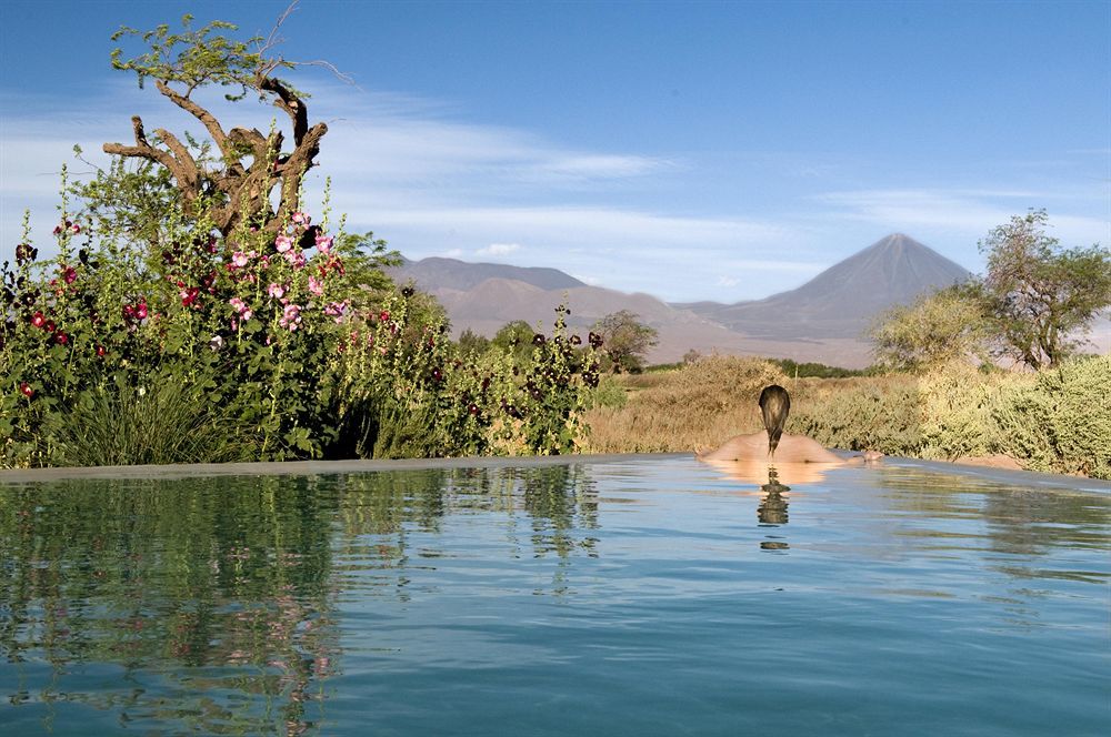 Tierra Atacama